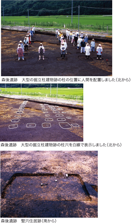 森後遺跡(もりうらいせき)発掘調査現地