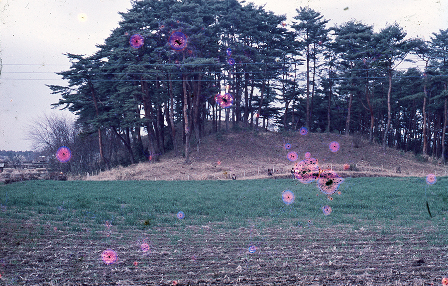 上侍塚南近景