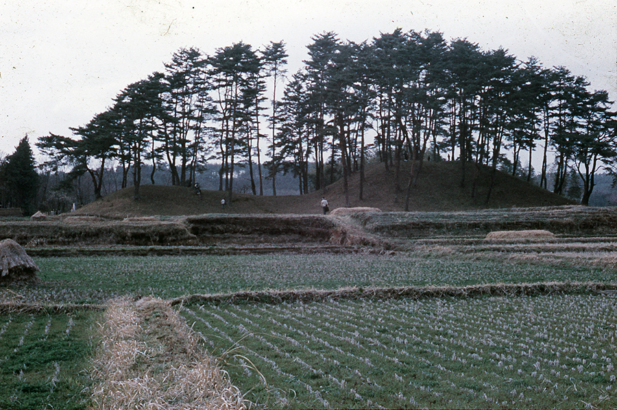 下侍塚東遠景